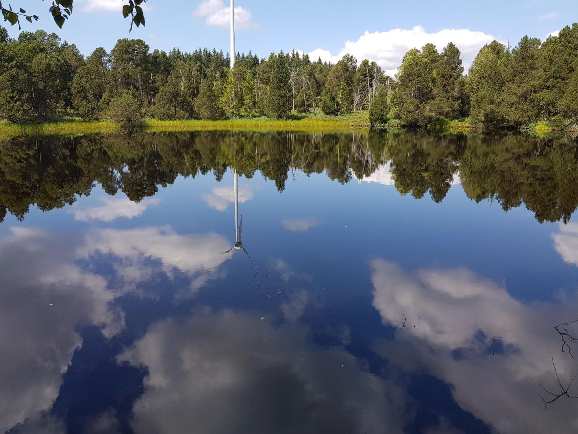 Ferienwohnungen Schoenwald Bagian luar foto